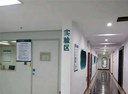 江苏哪个医院能办理血缘检测，江苏医院办理血缘检测服务详解