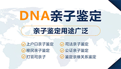 江苏隐私亲子鉴定需要多少钱，江苏隐私亲子鉴定需要的条件和材料有哪些